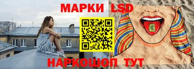 крисы Славгород