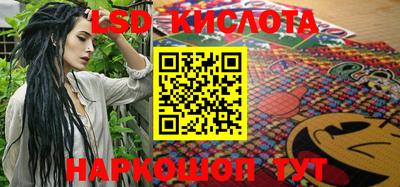 крисы Славгород