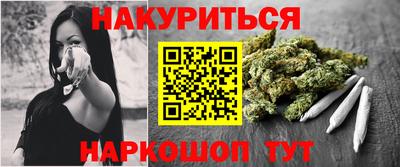крисы Славгород