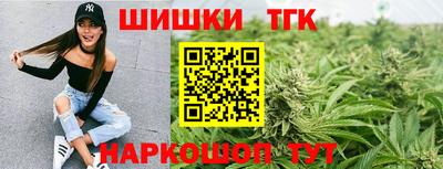 крисы Славгород