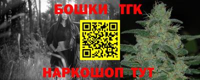 крисы Славгород