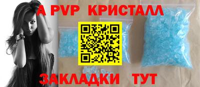 крисы Славгород