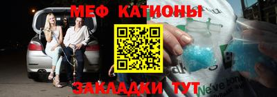 крисы Славгород