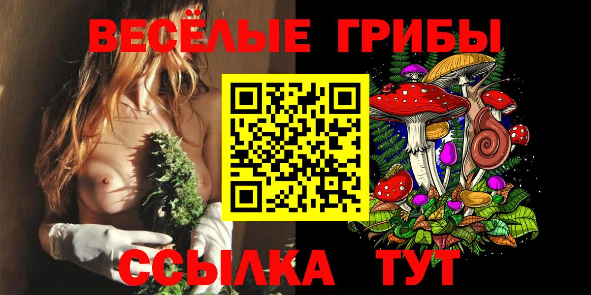 Галлюциногенные грибы Magic Shrooms Прохладный
