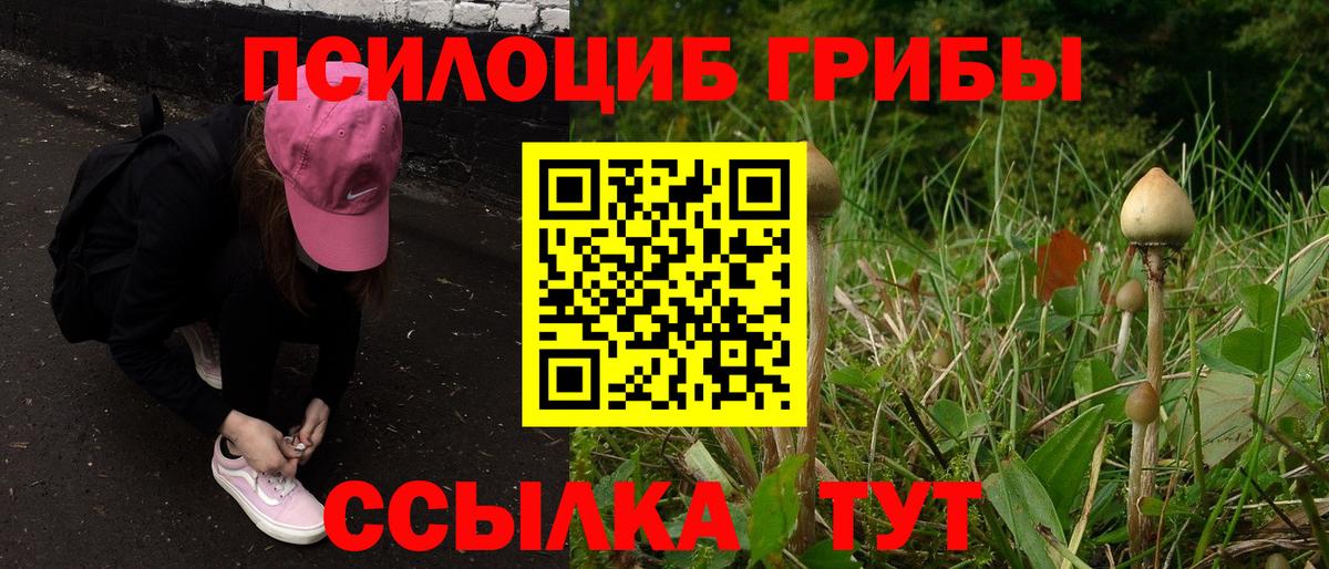 Псилоцибиновые грибы Psilocybine cubensis  Вход с VPN  дарнет шоп  Прохладный 